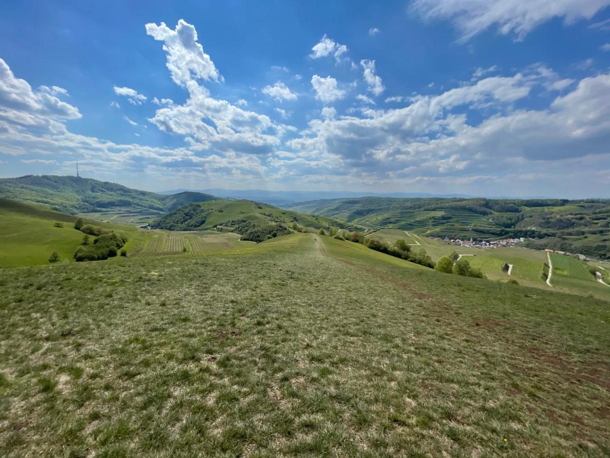 Weingut & Strausswirtschaft Vogel Apartamento Vogtsburg Exterior foto