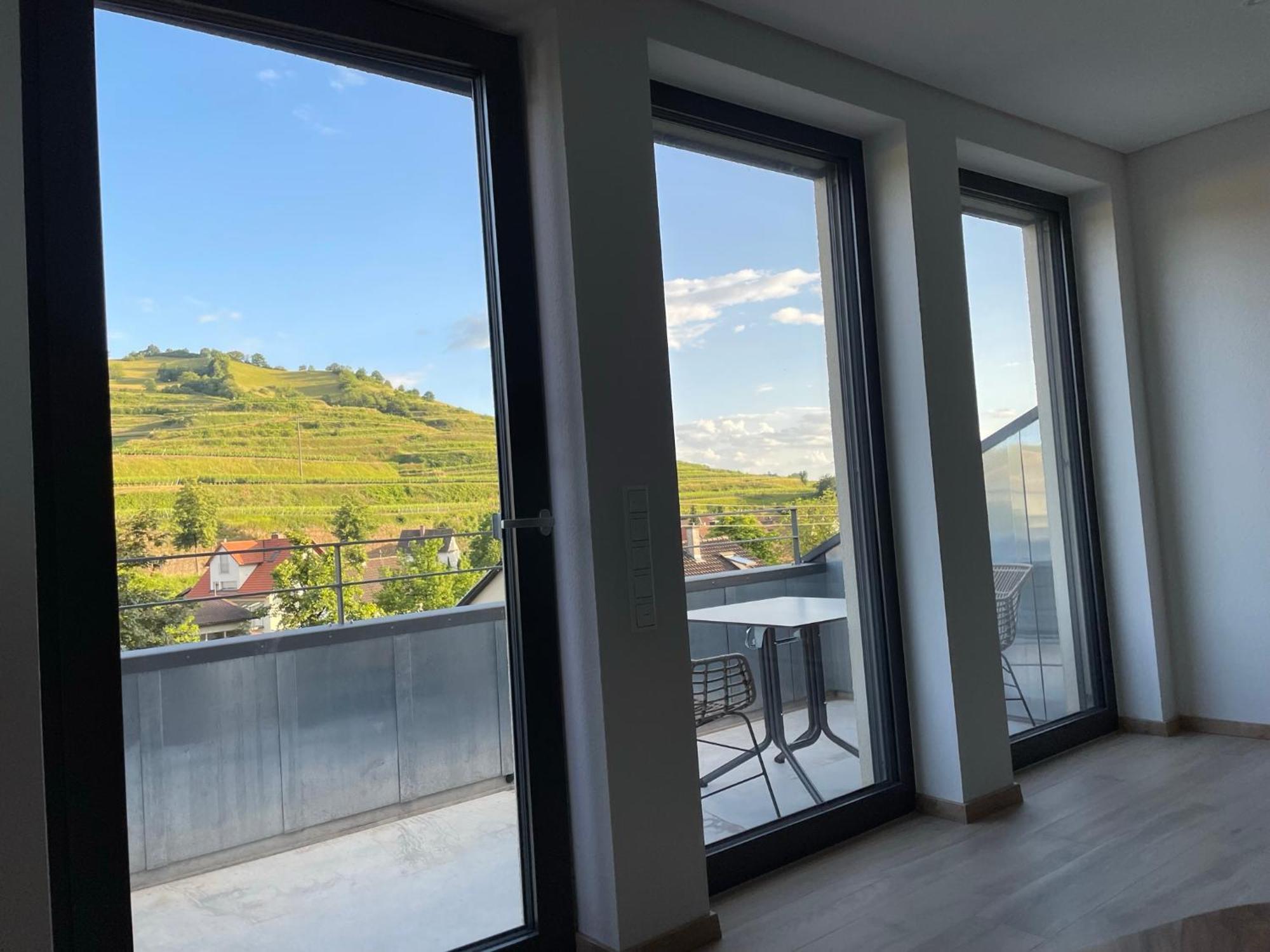 Weingut & Strausswirtschaft Vogel Apartamento Vogtsburg Exterior foto