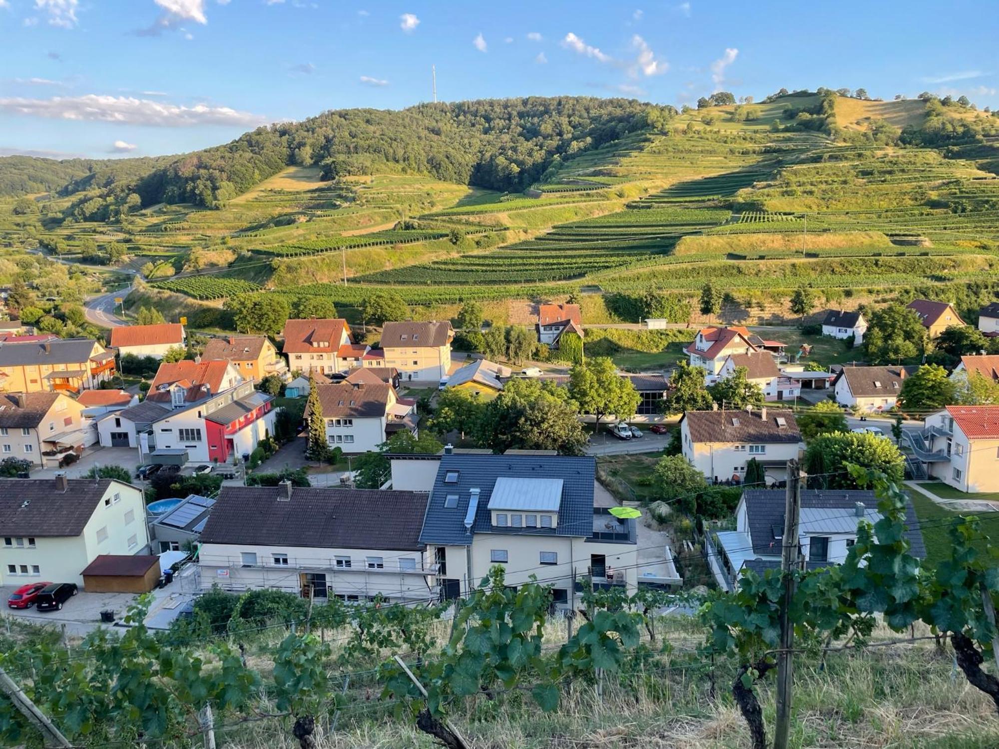 Weingut & Strausswirtschaft Vogel Apartamento Vogtsburg Exterior foto
